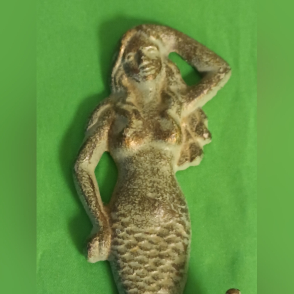 𝑨𝒏𝒕𝒊𝒒𝒖𝒆 𝑪𝒂𝒔𝒕 𝑰𝒓𝒐𝒏 𝑴𝒆𝒓𝒎𝒂𝒊𝒅 𝑾𝒂𝒍𝒍 𝑯𝒐𝒐𝒌 - Picture 4 of 11
